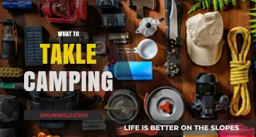 Essential Gear for a Memorable Camping Adventure