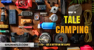 Essential Camping Gear: What to Pack for Your Next Adventure