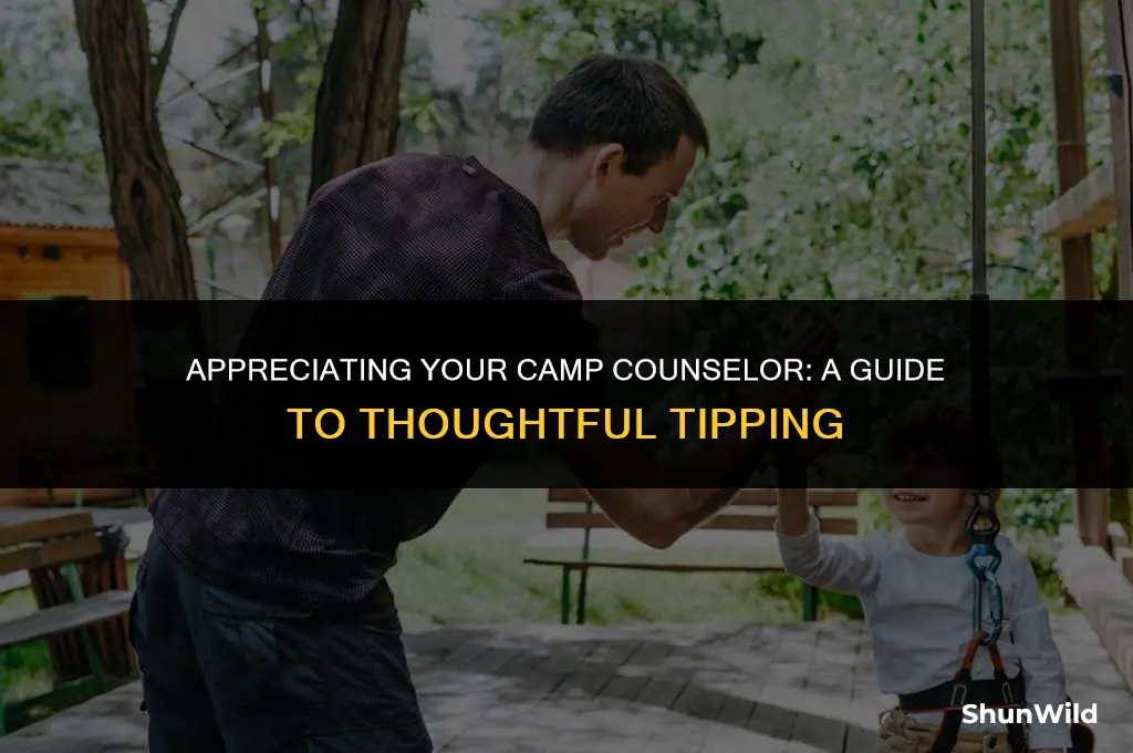 what to tip camp counselor