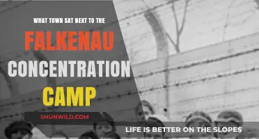 The Town Adjacent to Falkenau Concentration Camp: A Historical Overview