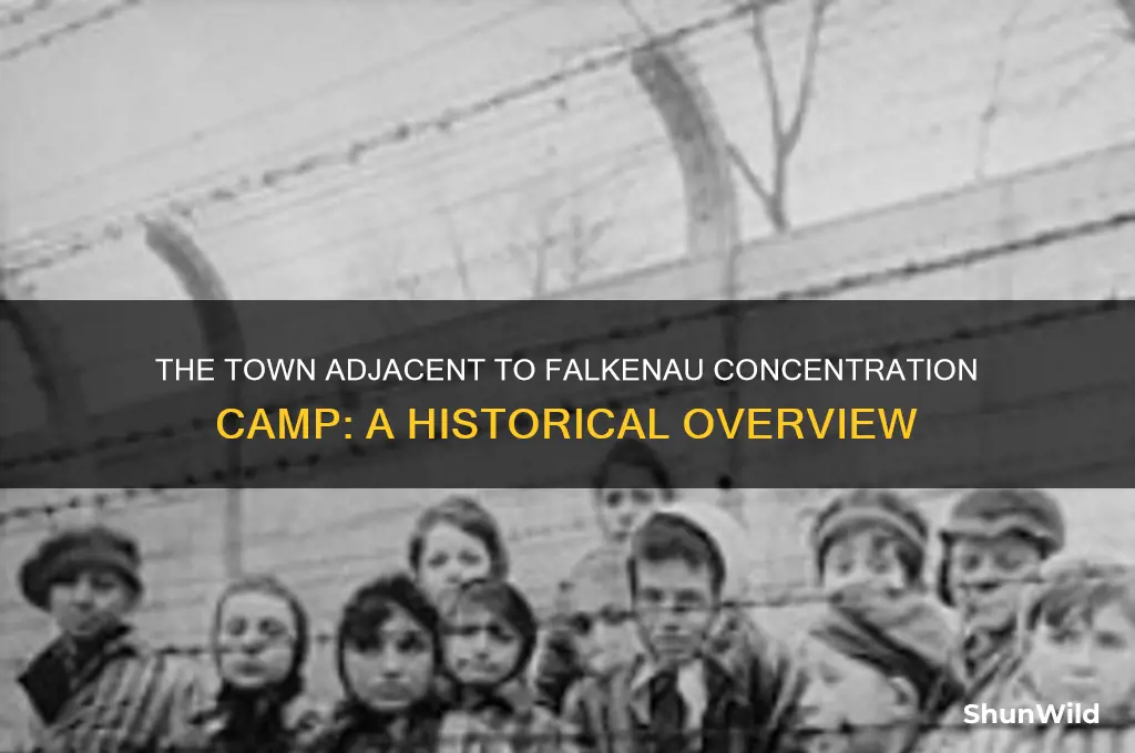 what town sat next to the falkenau concentration camp