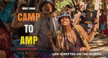 From Camp to Amp: The Ultimate Guide to Music Festival Prep