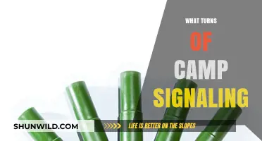 Decoding Camp Signaling: What Turns Off Potential Attendees