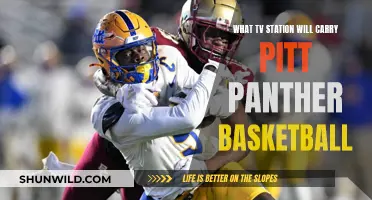 Pitt Panther Basketball: TV Channels and Streaming Options