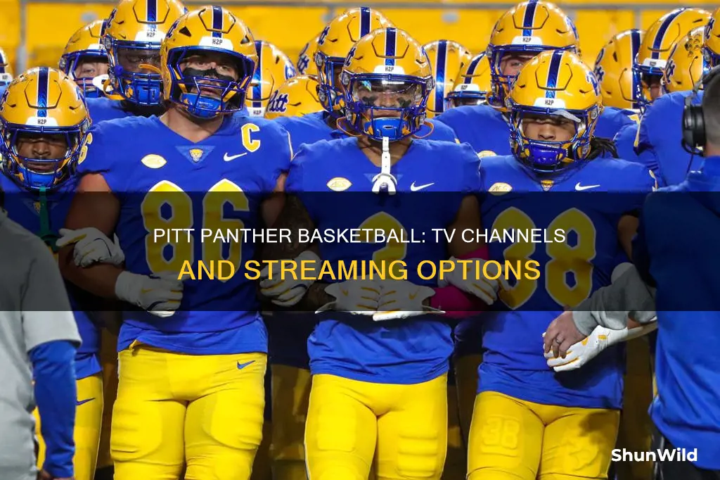 what tv station will carry pitt panther basketball