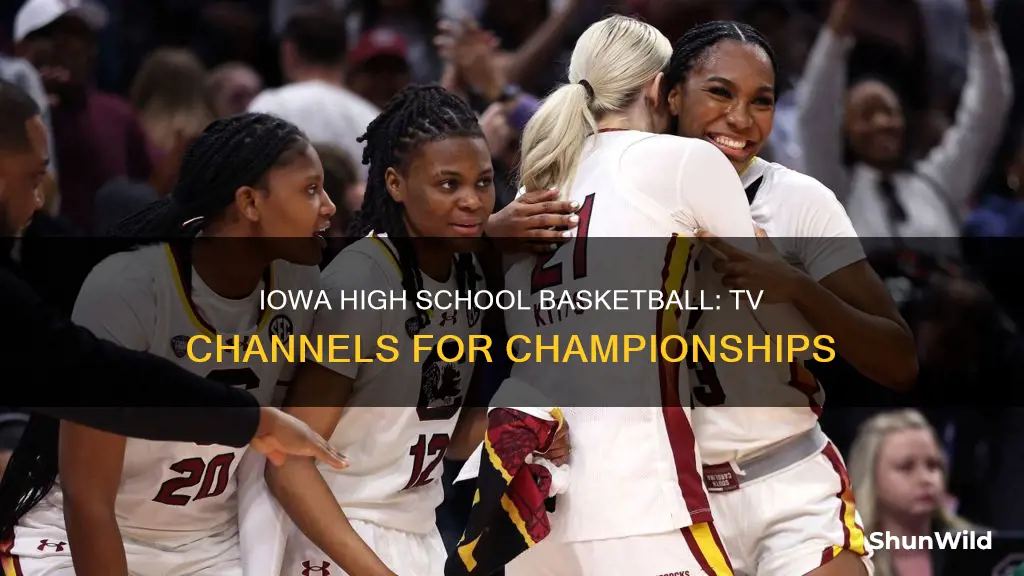 what tv stations carry the iowa high school basketball championships