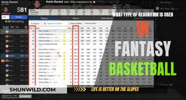 Unraveling the Magic: Algorithmic Strategies in Fantasy Basketball