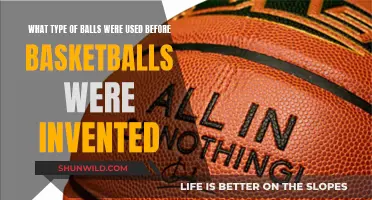 The Evolution of Balls Before Basketballs