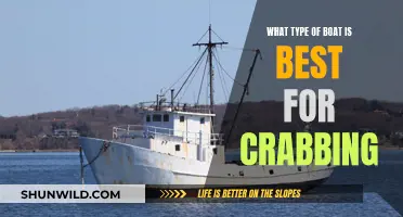 Best Boats for Crabbing: Choosing Your Vessel