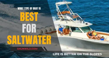 Saltwater Sailing: Choosing the Right Boat for You