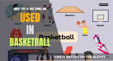 Unraveling the Lingo: Box Terms in Basketball