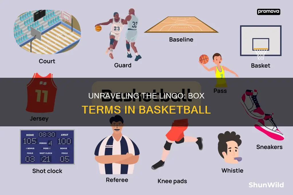 what type of box terms are used in basketball