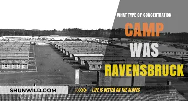 Ravensbrück: Unveiling the Brutal Reality of a Nazi Women's Camp