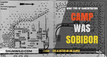 Sobibor: Uncovering the Brutal Reality of a Nazi Extermination Camp