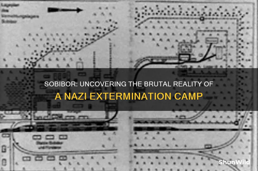 what type of concentration camp was sobibor