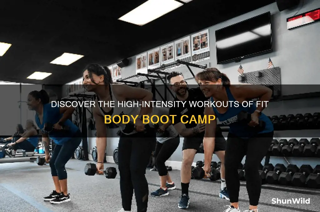 what type of exercise is fit body boot camp