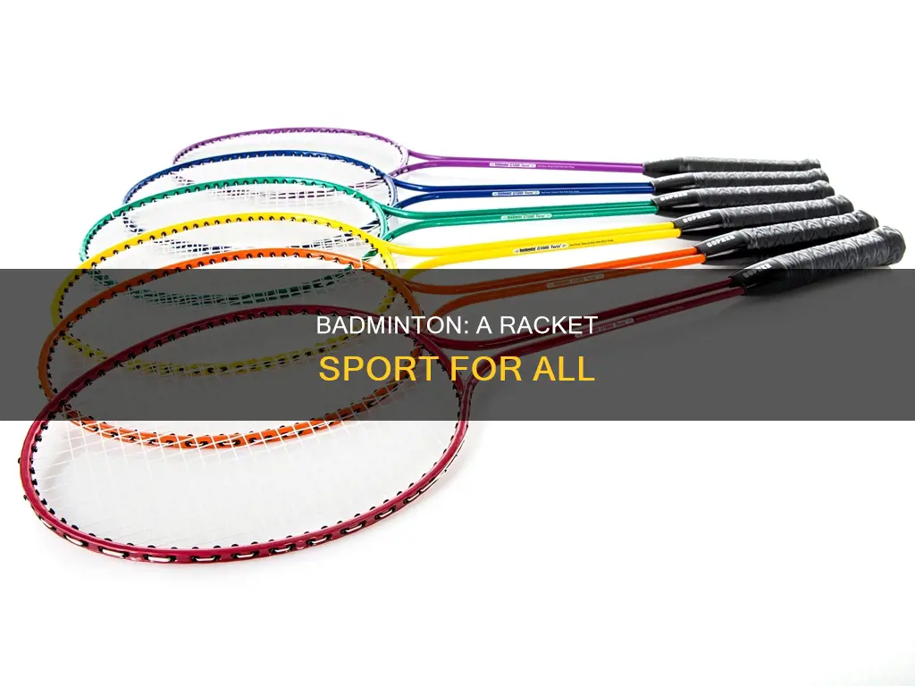 what type of game is badminton