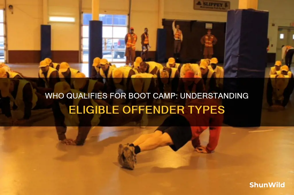 what type of offenders are eligible for boot camp