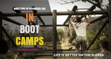 Understanding Boot Camp Offenders: Profiles, Demographics, and Rehabilitation Goals