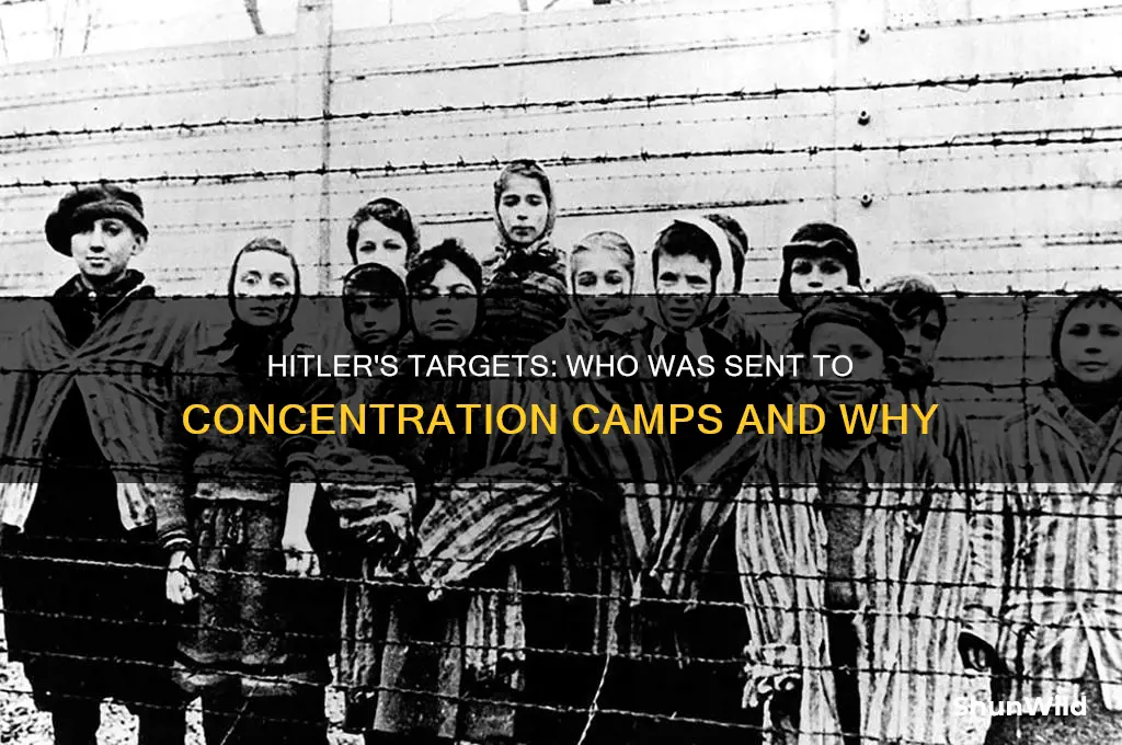 what type of people did hitler send to concentration camps