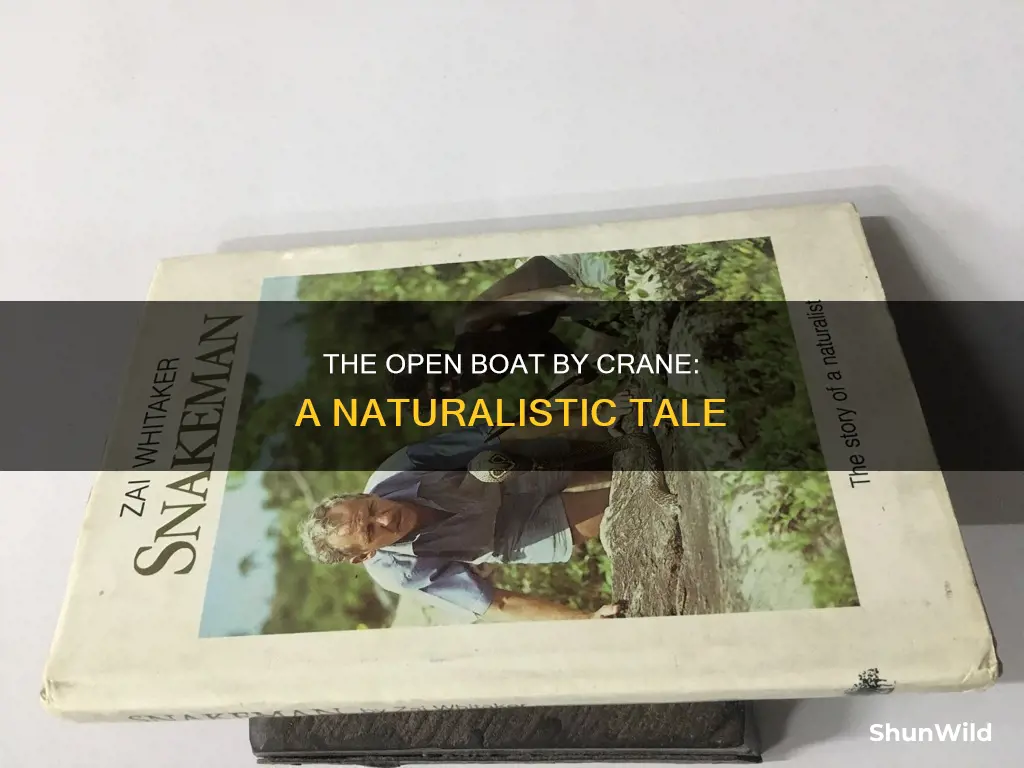 what type of story is the open boat by crane