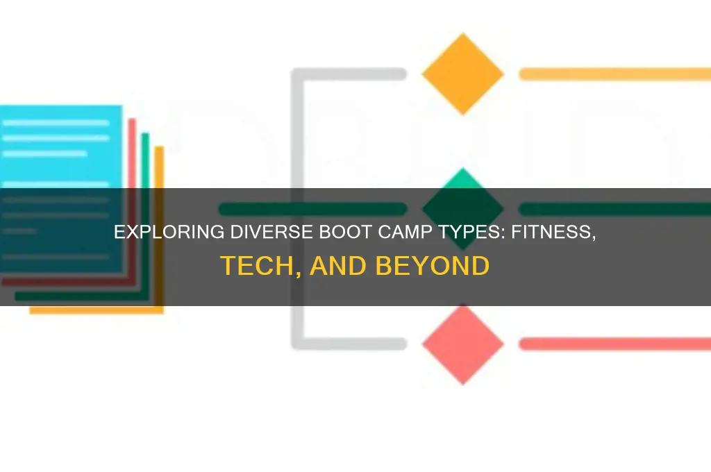 what types of boot camps are there