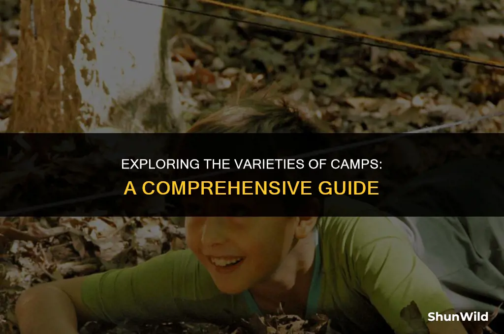 what types of camps did