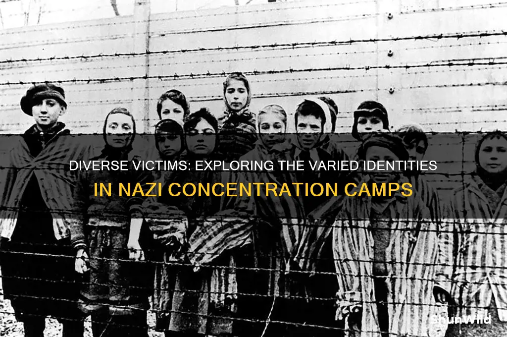 what types of people were in nazi concentration camps