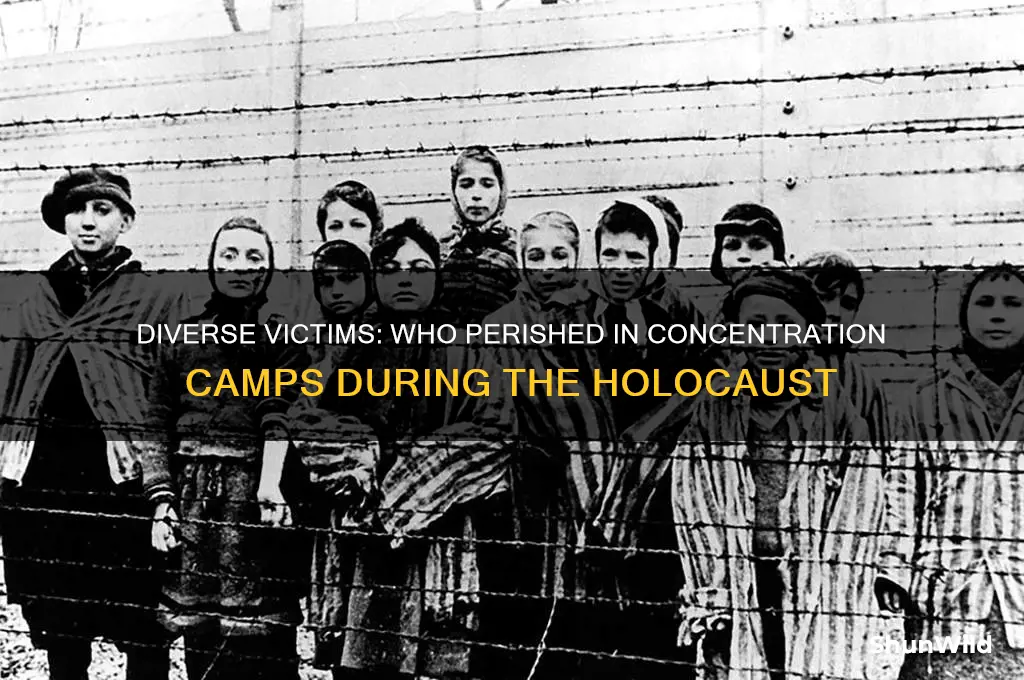 what types of people were mudered in concentration camp
