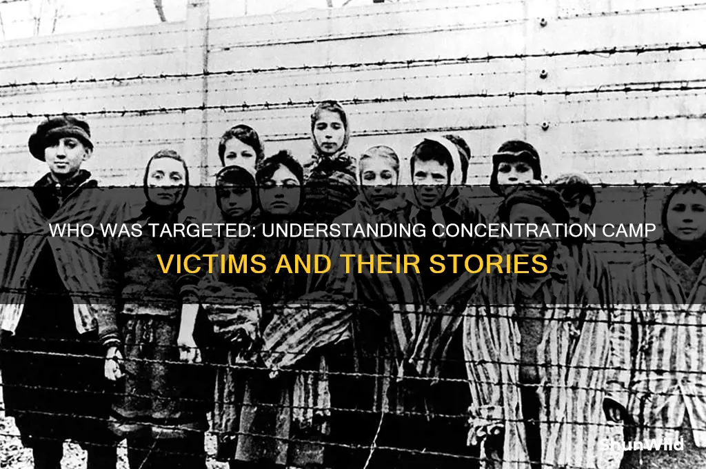 what types of pople were sent to concentration camps
