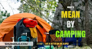 Exploring the Great Outdoors: What Camping Really Means