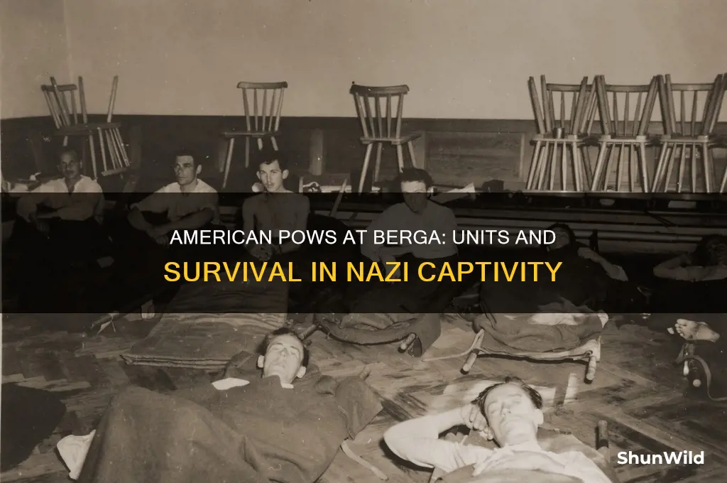 what units did the american pows at berga concentration camp
