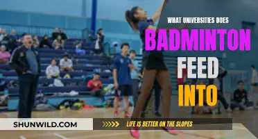 Badminton's Pathway: Top University Destinations