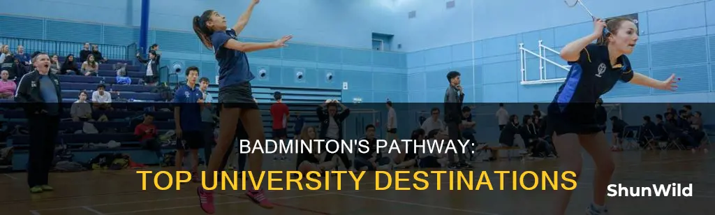 what universities does badminton feed into