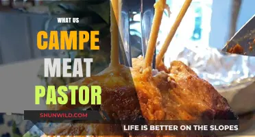 Exploring the Flavorful World of Campe Meat Pastor
