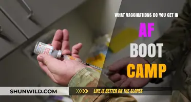 Essential Vaccinations You'll Receive During Air Force Basic Training Boot Camp