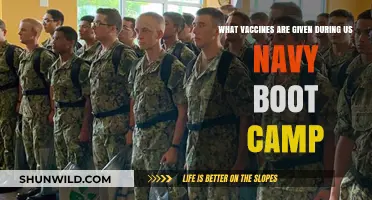 Essential Vaccines Administered During US Navy Boot Camp Training
