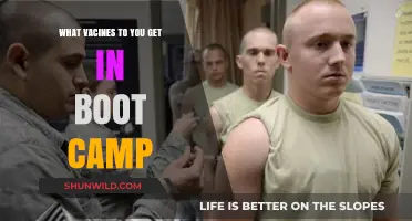Essential Vaccines Administered During Military Boot Camp Training