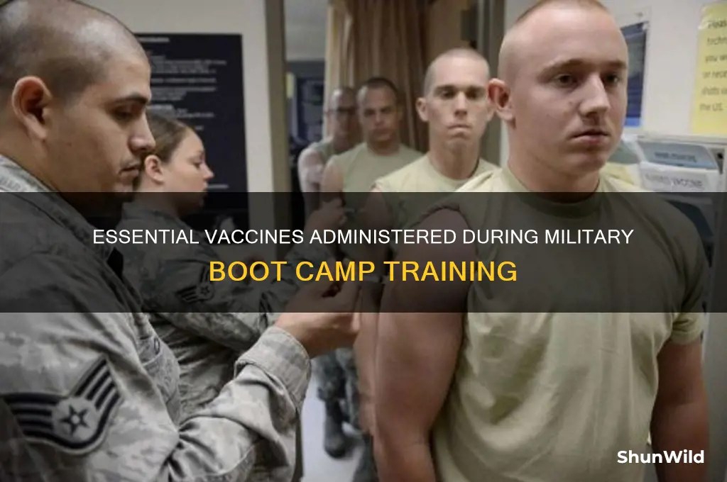 what vacines to you get in boot camp
