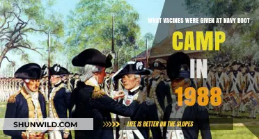 Navy Boot Camp Vaccines: A 1988 Immunization Overview