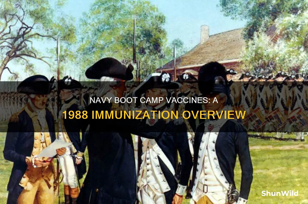 what vacines were given at navy boot camp in 1988