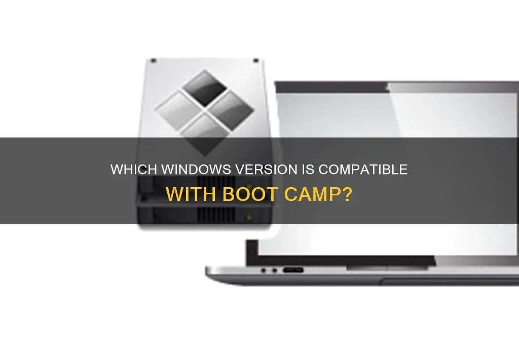what version of windows runs on boot camp