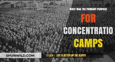 Understanding the Dark Intent: Primary Purpose of Concentration Camps
