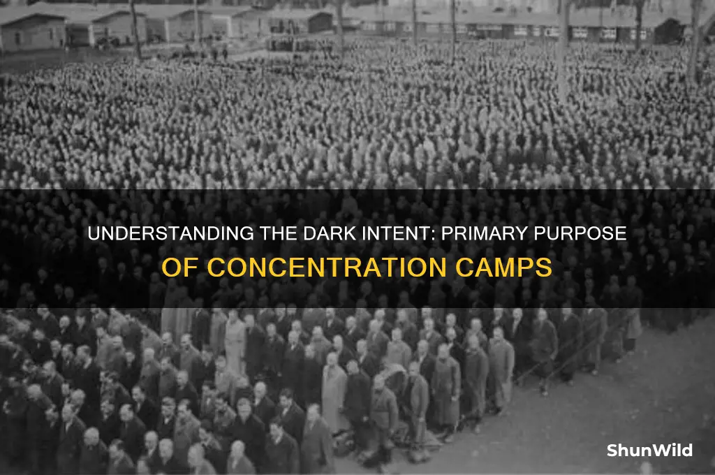 what waa the primary purpose for concentration camps