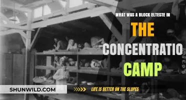 Understanding the Role of a Block Eldest in Concentration Camps