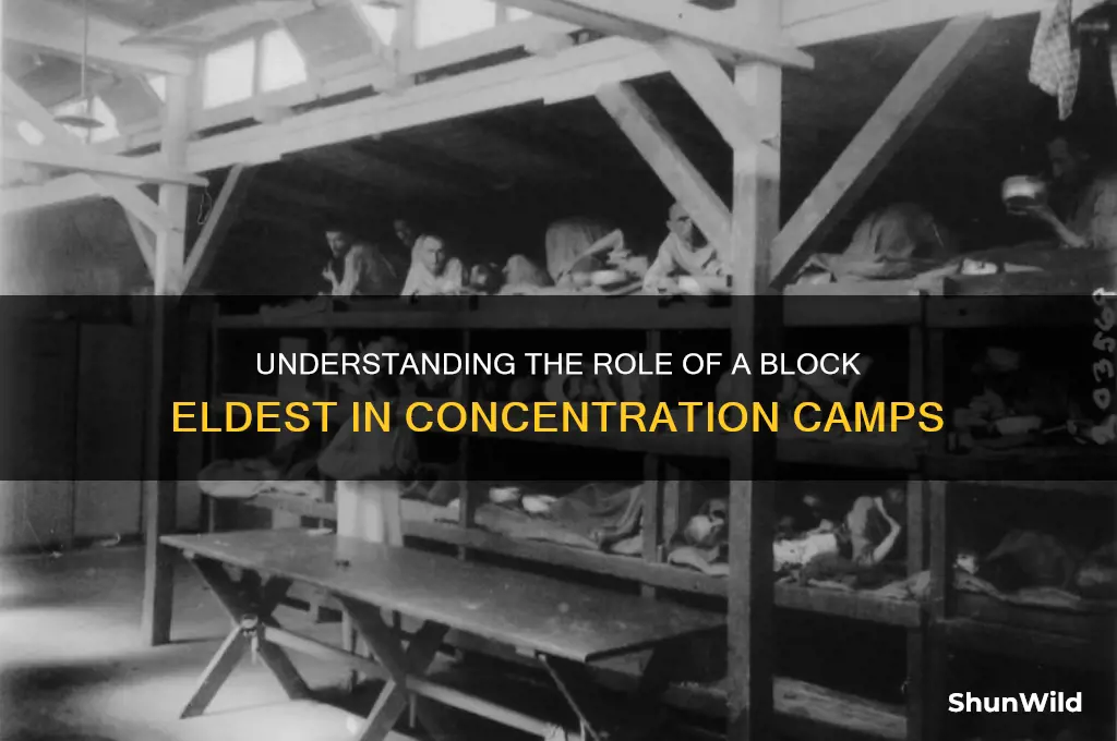 what was a block elteste in the concentration camp