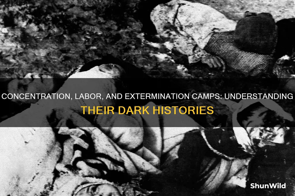what was a concentration camp labor camp and extermination camp