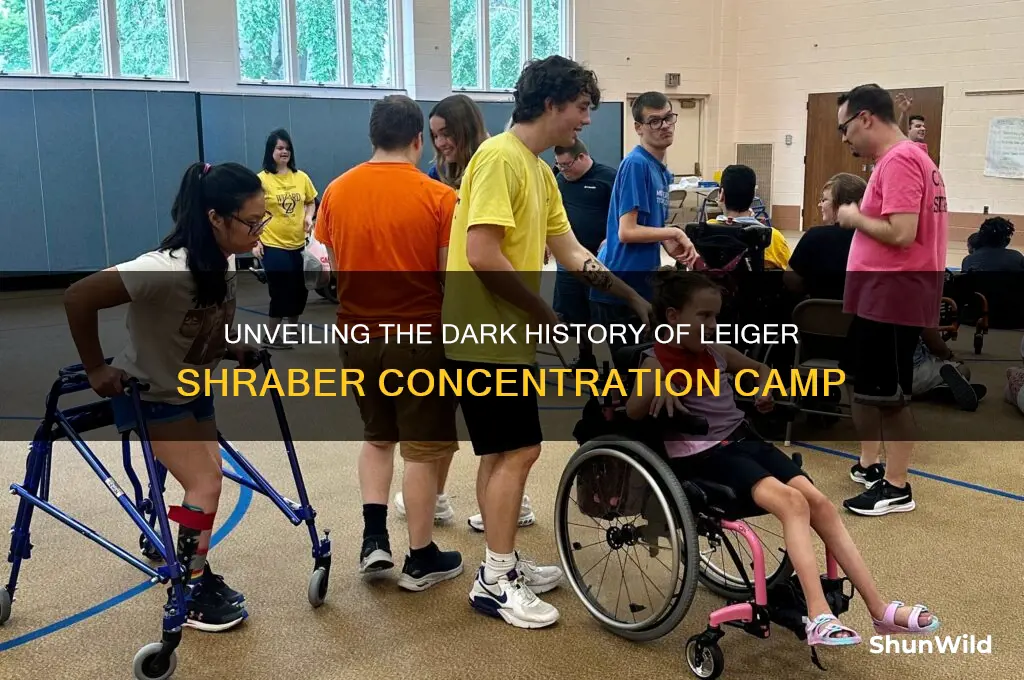 what was a concentration camp leiger shraber