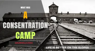 Understanding the Horrors: A Deep Dive into Concentration Camps
