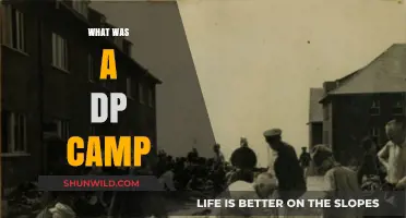 Unveiling the Truth: Inside the World of DP Camps